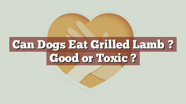 Can Dogs Eat Grilled Lamb ? Good or Toxic ?