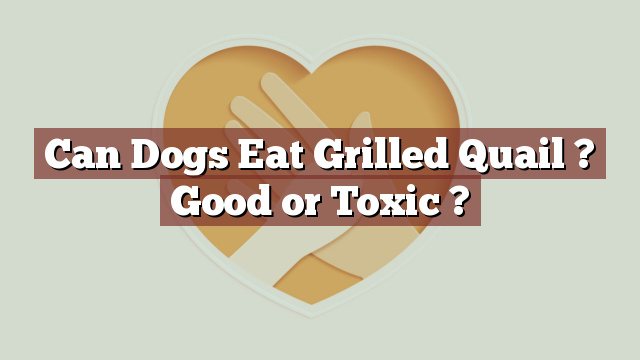 Can Dogs Eat Grilled Quail ? Good or Toxic ?