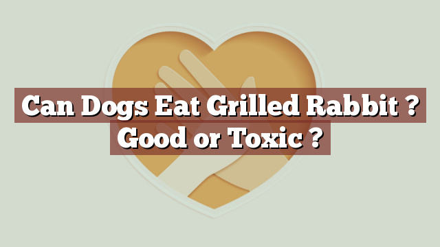 Can Dogs Eat Grilled Rabbit ? Good or Toxic ?
