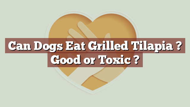 Can Dogs Eat Grilled Tilapia ? Good or Toxic ?