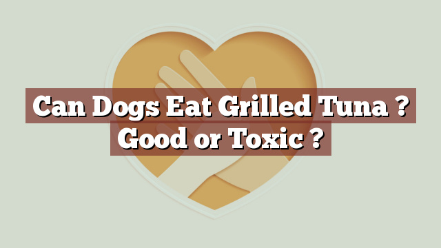 Can Dogs Eat Grilled Tuna ? Good or Toxic ?