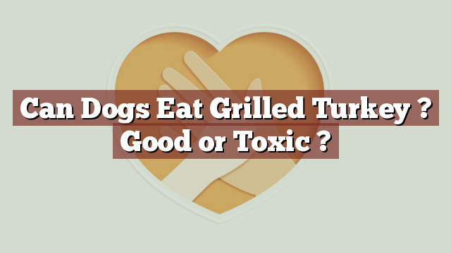 Can Dogs Eat Grilled Turkey ? Good or Toxic ?