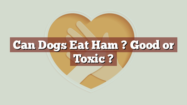 Can Dogs Eat Ham ? Good or Toxic ?