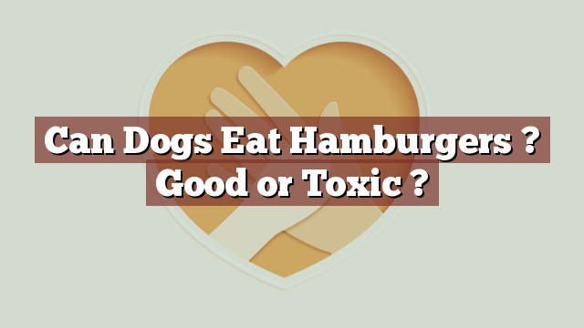 Can Dogs Eat Hamburgers ? Good or Toxic ?