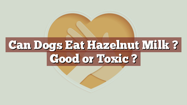 Can Dogs Eat Hazelnut Milk ? Good or Toxic ?