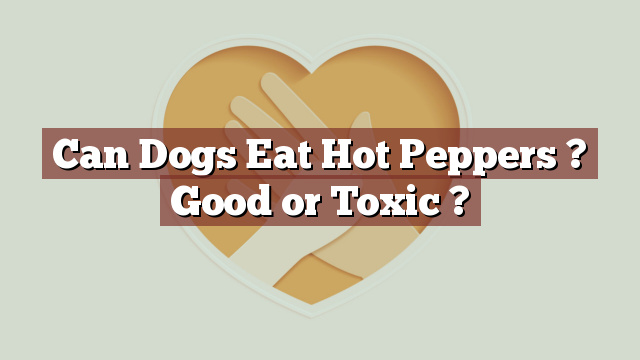 Can Dogs Eat Hot Peppers ? Good or Toxic ?