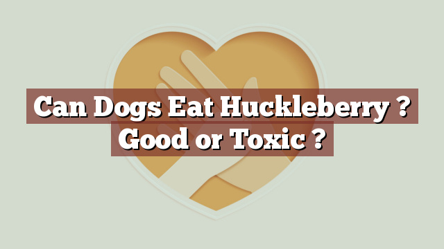 Can Dogs Eat Huckleberry ? Good or Toxic ?
