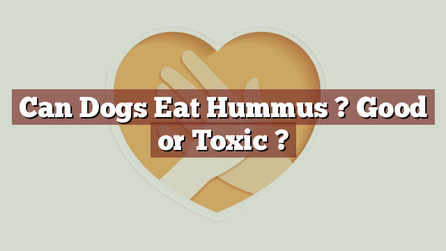 Can Dogs Eat Hummus ? Good or Toxic ?