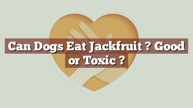 Can Dogs Eat Jackfruit ? Good or Toxic ?