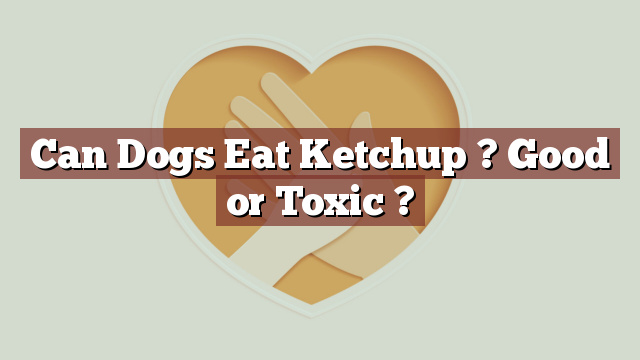 Can Dogs Eat Ketchup ? Good or Toxic ?