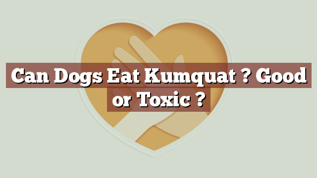 Can Dogs Eat Kumquat ? Good or Toxic ?
