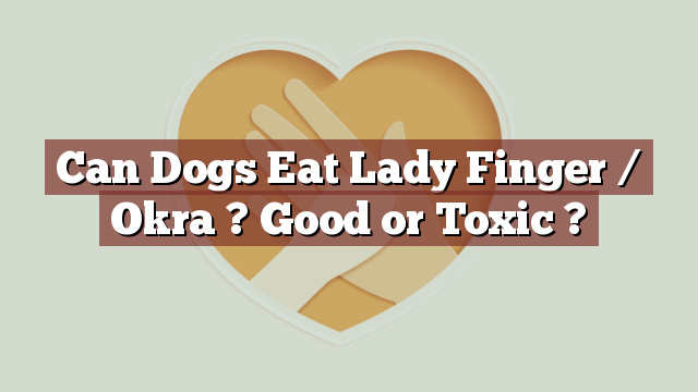 Can Dogs Eat Lady Finger / Okra ? Good or Toxic ?