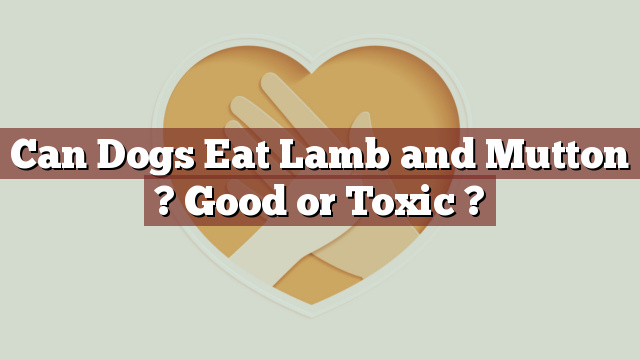 Can Dogs Eat Lamb and Mutton ? Good or Toxic ?