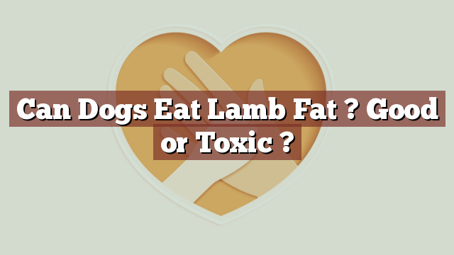 Can Dogs Eat Lamb Fat ? Good or Toxic ?