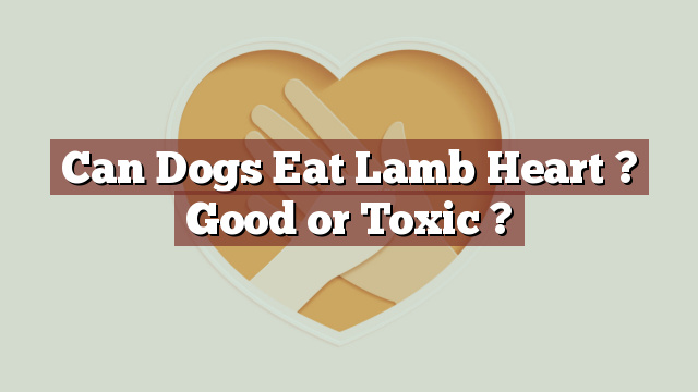 Can Dogs Eat Lamb Heart ? Good or Toxic ?