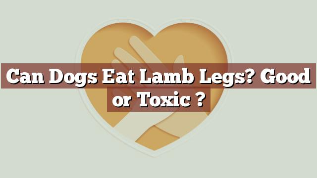Can Dogs Eat Lamb Legs? Good or Toxic ?