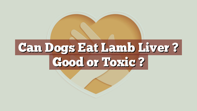 Can Dogs Eat Lamb Liver ? Good or Toxic ?