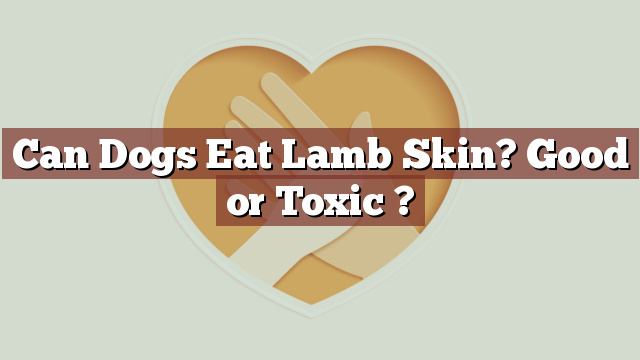 Can Dogs Eat Lamb Skin? Good or Toxic ?