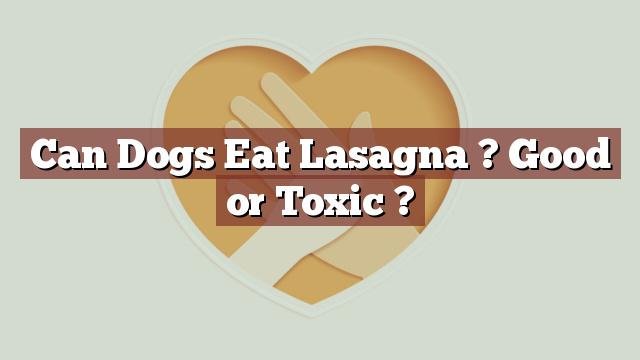 Can Dogs Eat Lasagna ? Good or Toxic ?