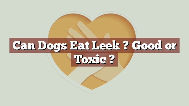 Can Dogs Eat Leek ? Good or Toxic ?