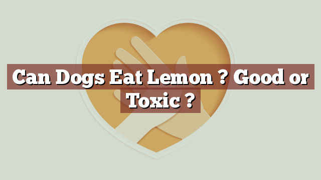 Can Dogs Eat Lemon ? Good or Toxic ?