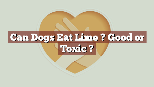 Can Dogs Eat Lime ? Good or Toxic ?