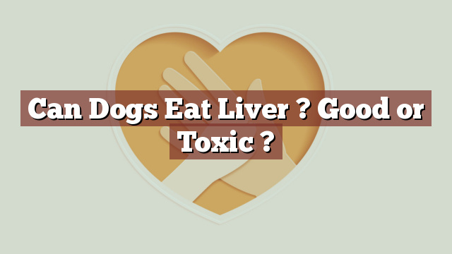 Can Dogs Eat Liver ? Good or Toxic ?