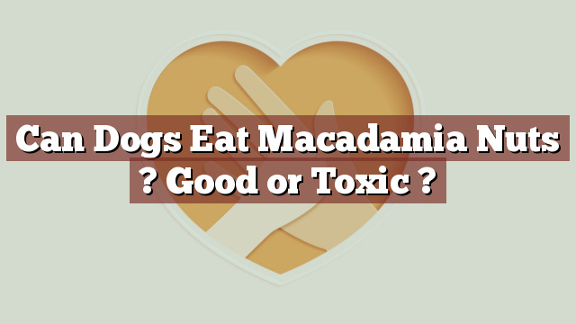 Can Dogs Eat Macadamia Nuts ? Good or Toxic ?