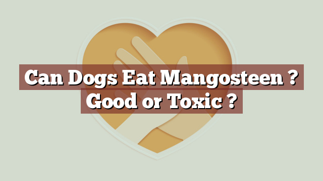 Can Dogs Eat Mangosteen ? Good or Toxic ?