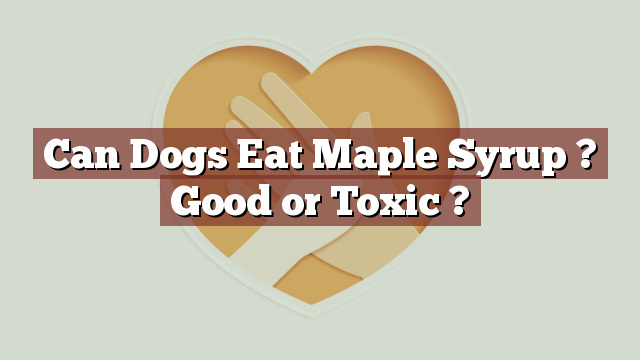 Can Dogs Eat Maple Syrup ? Good or Toxic ?