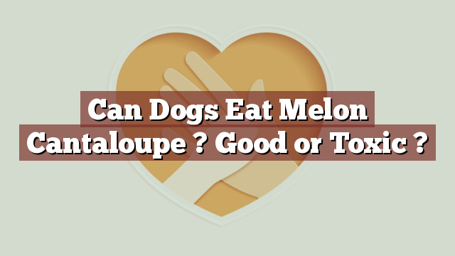 Can Dogs Eat Melon Cantaloupe ? Good or Toxic ?