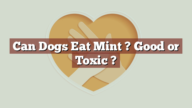 Can Dogs Eat Mint ? Good or Toxic ?