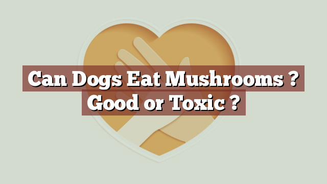 Can Dogs Eat Mushrooms ? Good or Toxic ?