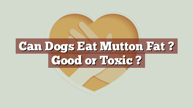 Can Dogs Eat Mutton Fat ? Good or Toxic ?
