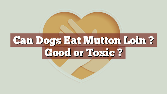 Can Dogs Eat Mutton Loin ? Good or Toxic ?