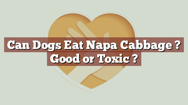 Can Dogs Eat Napa Cabbage ? Good or Toxic ?