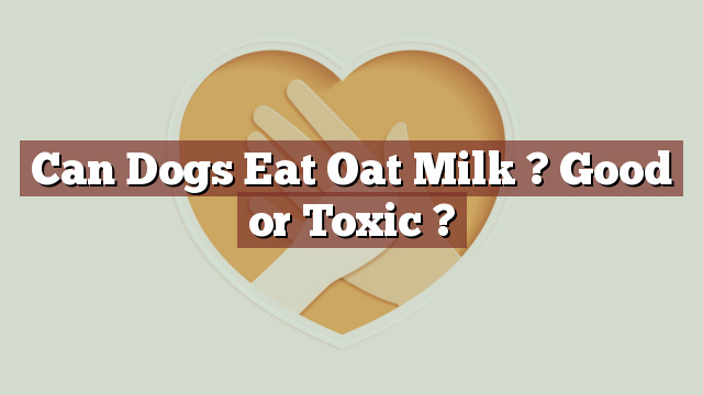 Can Dogs Eat Oat Milk ? Good or Toxic ?