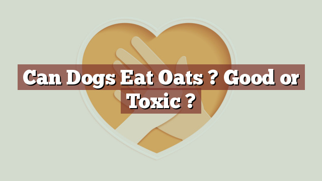 Can Dogs Eat Oats ? Good or Toxic ?