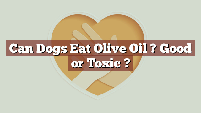 Can Dogs Eat Olive Oil ? Good or Toxic ?