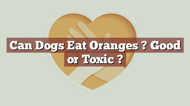 Can Dogs Eat Oranges ? Good or Toxic ?