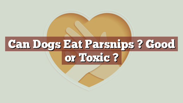 Can Dogs Eat Parsnips ? Good or Toxic ?