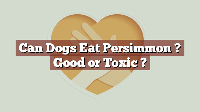Can Dogs Eat Persimmon ? Good or Toxic ?