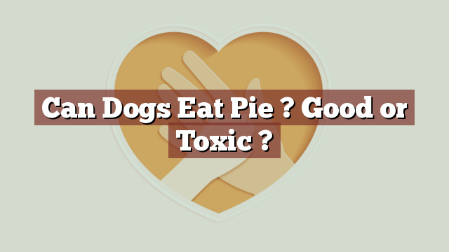 Can Dogs Eat Pie ? Good or Toxic ?