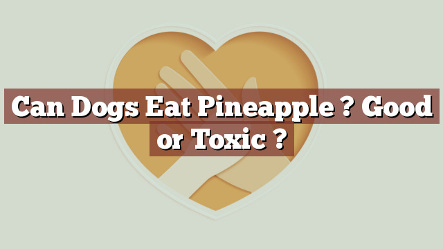 Can Dogs Eat Pineapple ? Good or Toxic ?