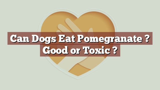 Can Dogs Eat Pomegranate ? Good or Toxic ?