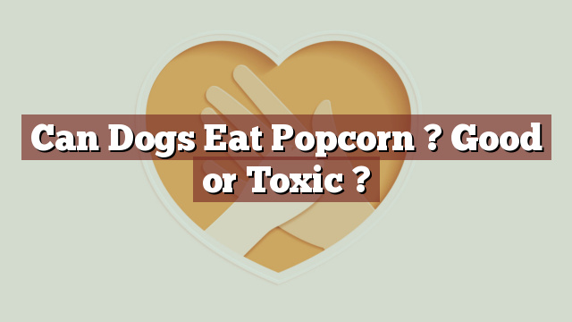 Can Dogs Eat Popcorn ? Good or Toxic ?