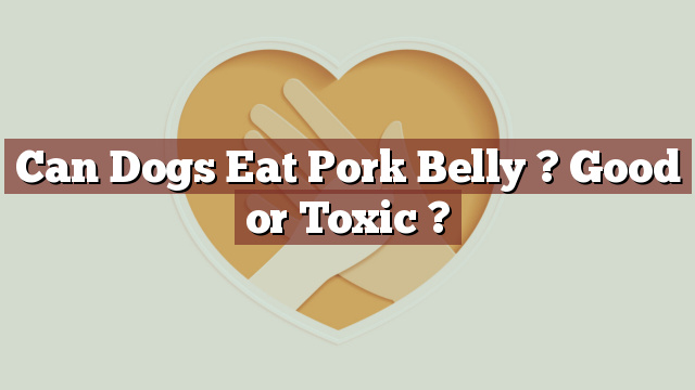 Can Dogs Eat Pork Belly ? Good or Toxic ?