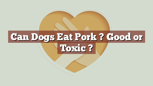 Can Dogs Eat Pork ? Good or Toxic ?