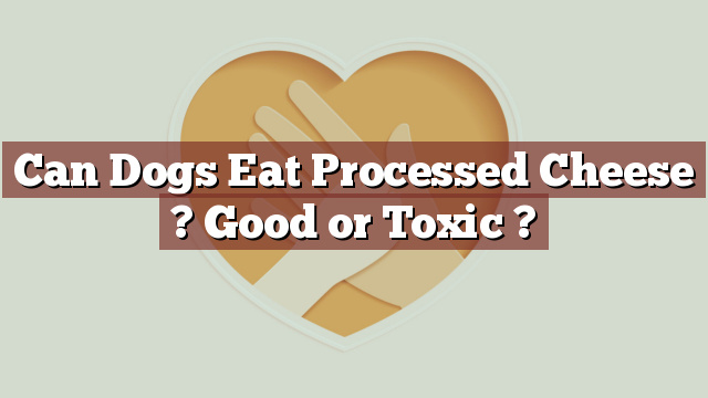 Can Dogs Eat Processed Cheese ? Good or Toxic ?