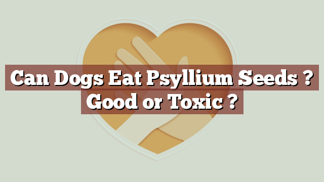 Can Dogs Eat Psyllium Seeds ? Good or Toxic ?